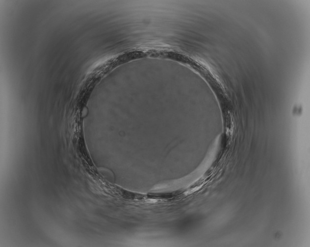 X0000095911063200801111227