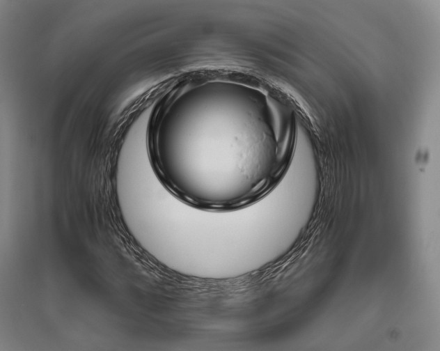 X0000095911064200801111227