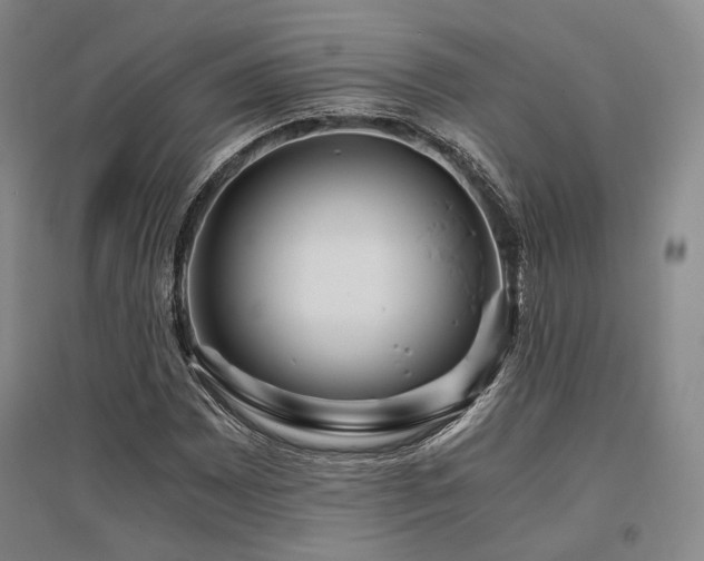 X0000095911065200801111227