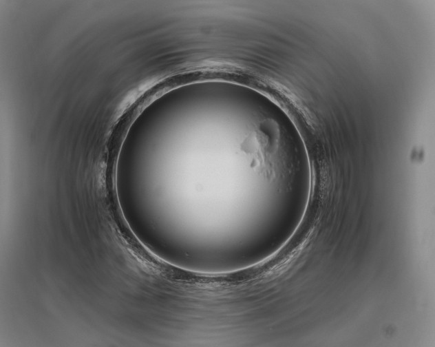 X0000095911066200801111227