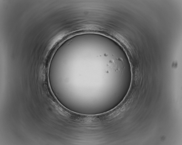 X0000095911067200801111227