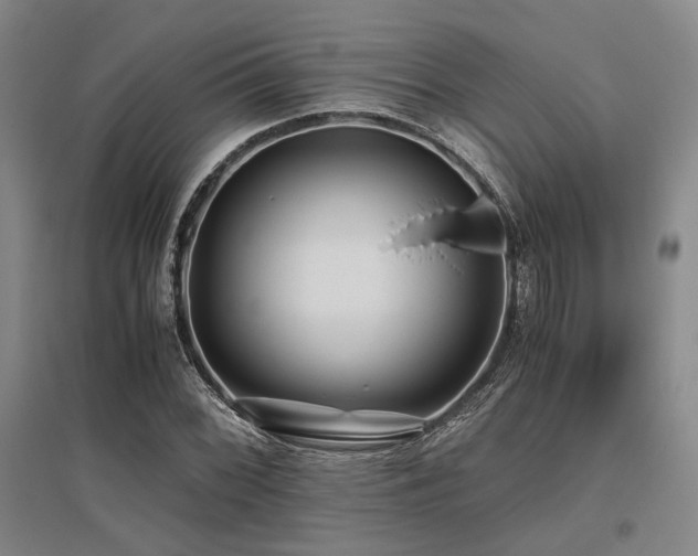 X0000095911068200801111227