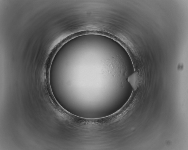 X0000095911070200801111227