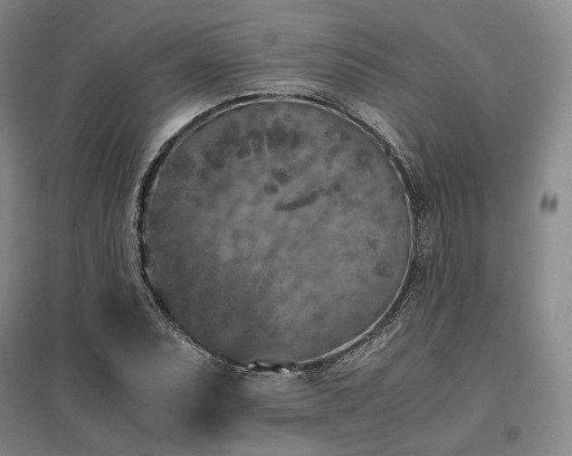 X0000095911071200801111227