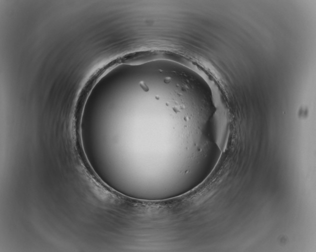 X0000095911072200801111227