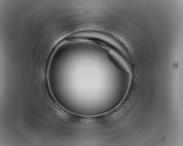 X0000095911073200801111227