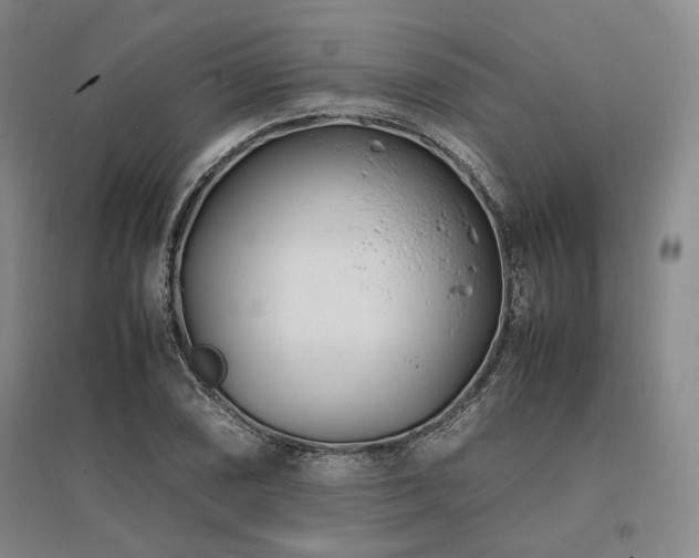 X0000095911074200801111227
