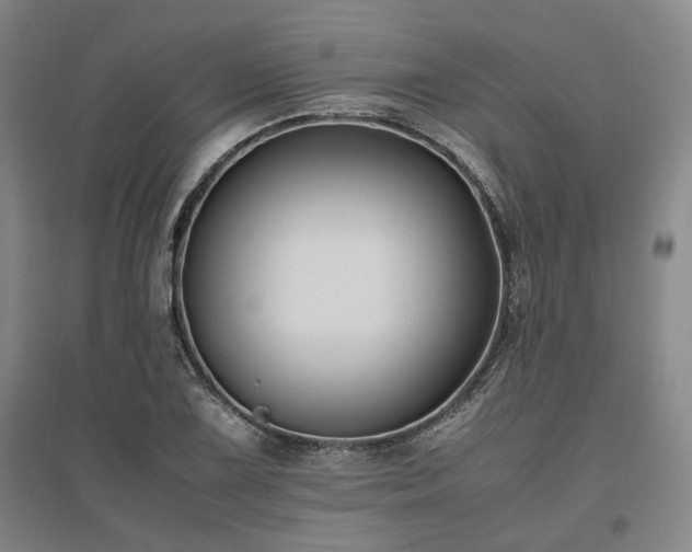 X0000095911075200801111227