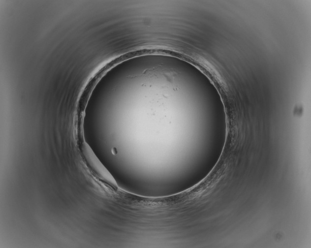 X0000095911076200801111227