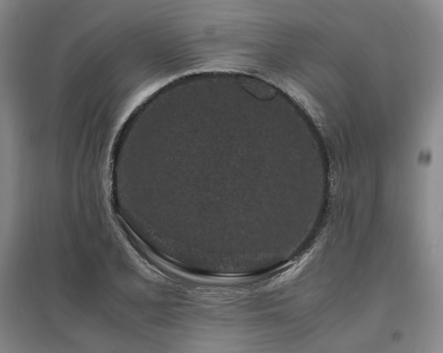 X0000095911077200801111227