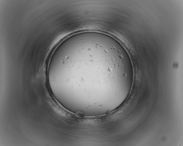 X0000095911078200801111227