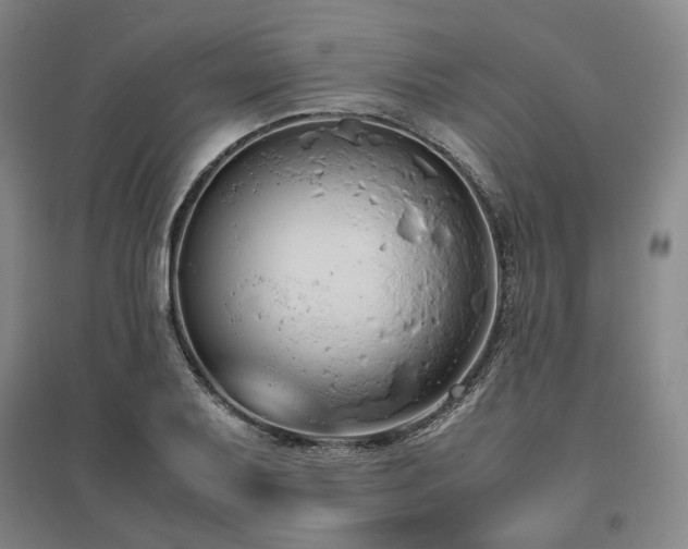 X0000095911079200801111227