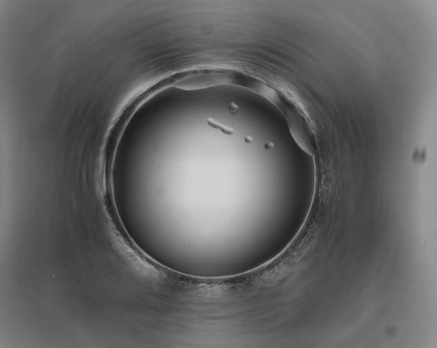 X0000095911080200801111227