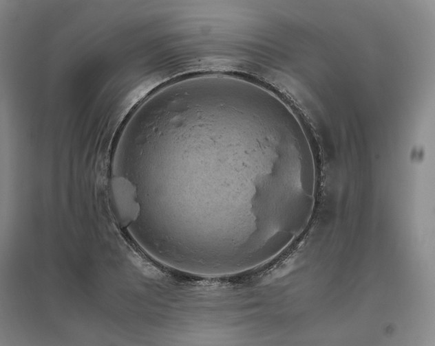 X0000095911081200801111227