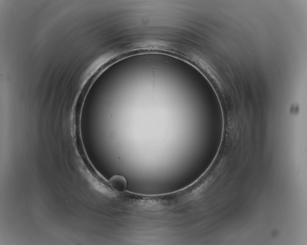 X0000095911082200801111227