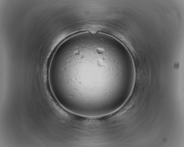 X0000095911083200801111227