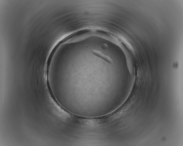 X0000095911084200801111227
