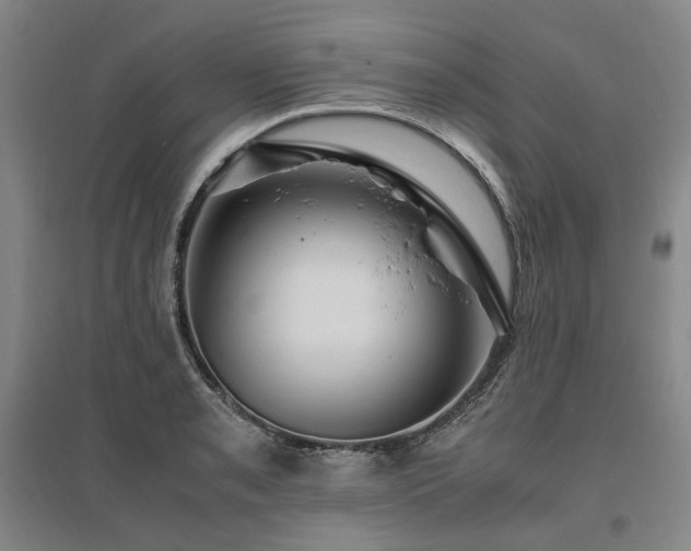 X0000095911085200801111227