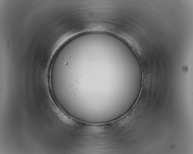X0000095911086200801111227
