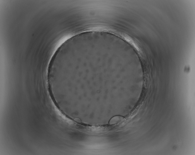 X0000095911087200801111227