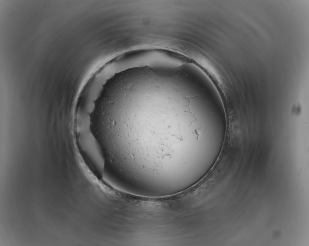 X0000095911088200801111227