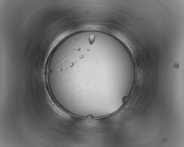 X0000095911090200801111227