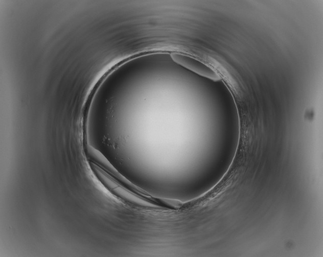 X0000095911092200801111226