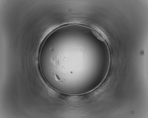 X0000095911093200801111226