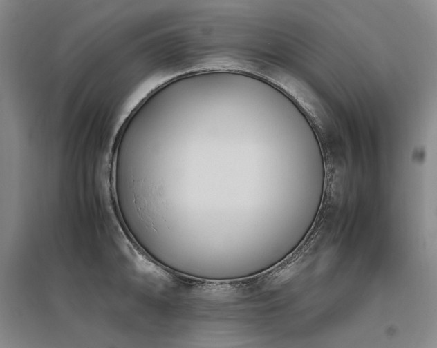 X0000095911094200801111226