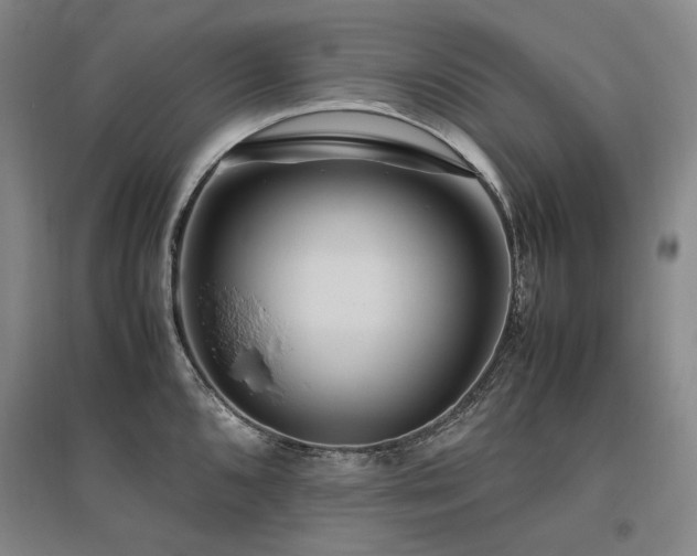 X0000095911096200801111226