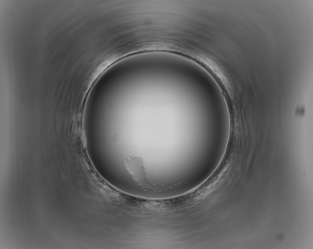 X0000095911097200801111226