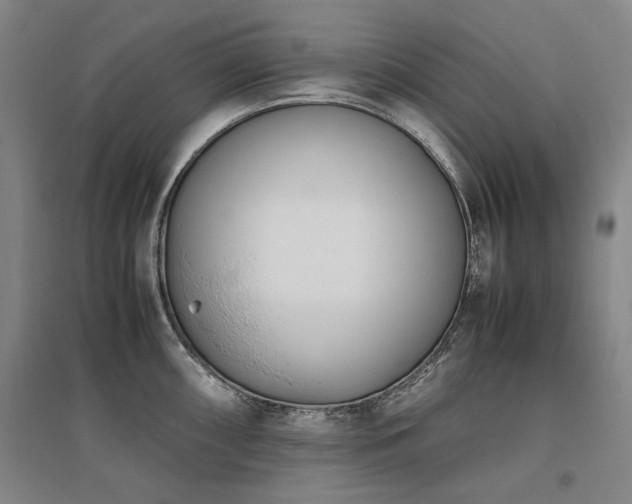 X0000095911098200801111226