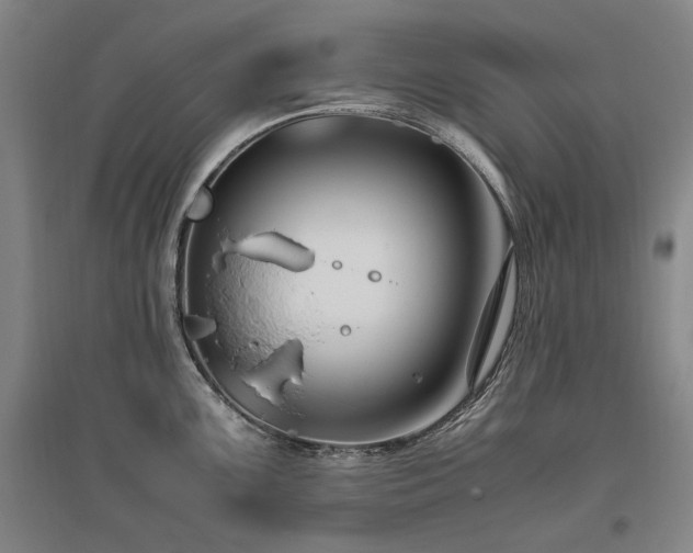 X0000095911099200801111226