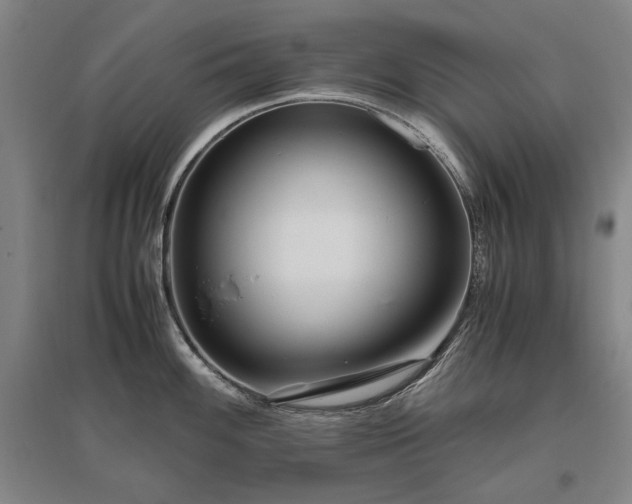 X0000095911100200801111226
