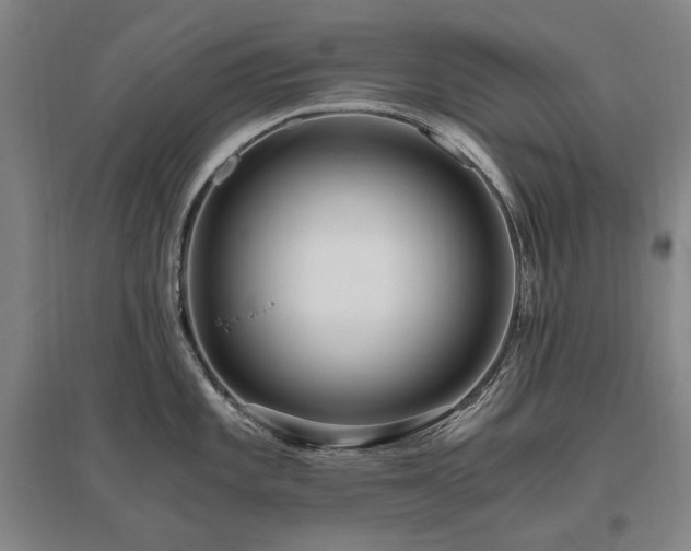 X0000095911101200801111226