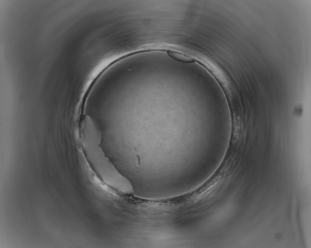X0000095911102200801111226
