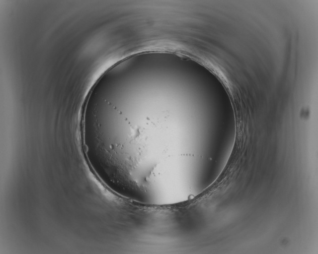 X0000095911103200801111226