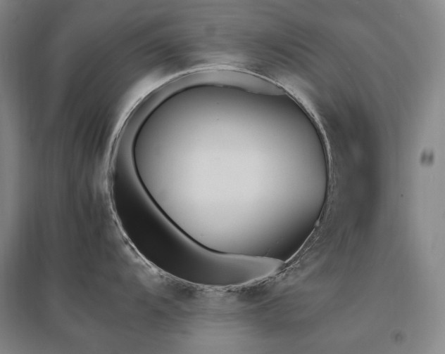 X0000095911104200801111226