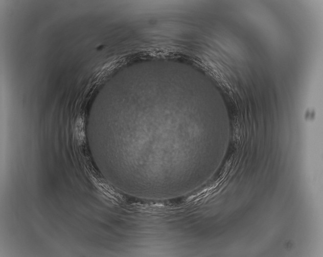 X0000095911106200801111226