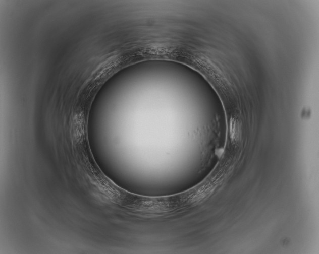 X0000095911107200801111226