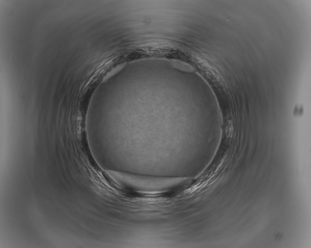 X0000095911108200801111226