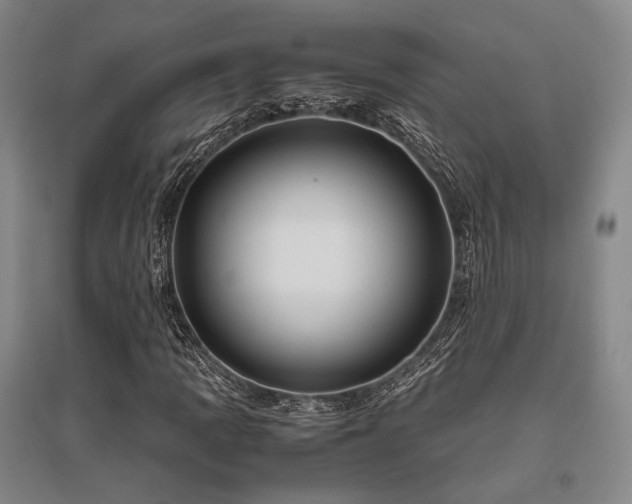 X0000095911109200801111226