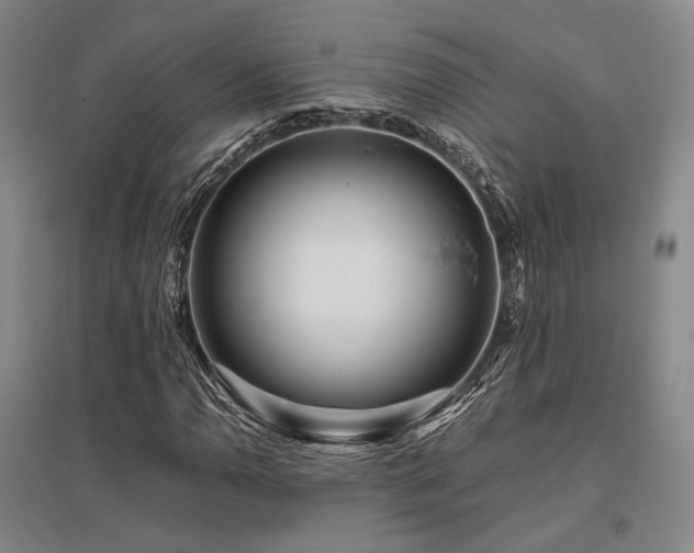 X0000095911110200801111226