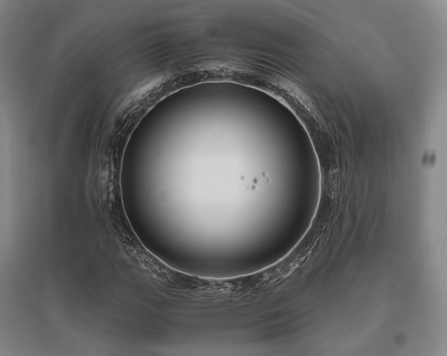 X0000095911111200801111226