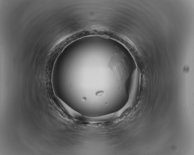 X0000095911112200801111226