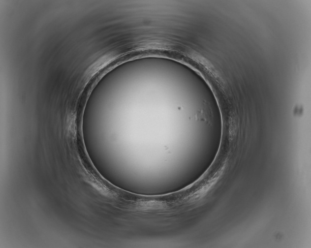X0000095911113200801111226