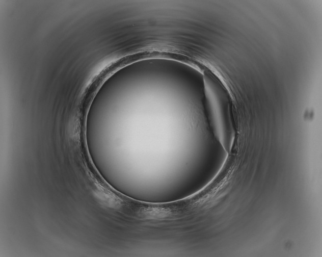 X0000095911115200801111226