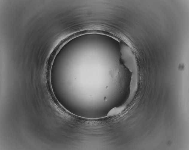 X0000095911116200801111226