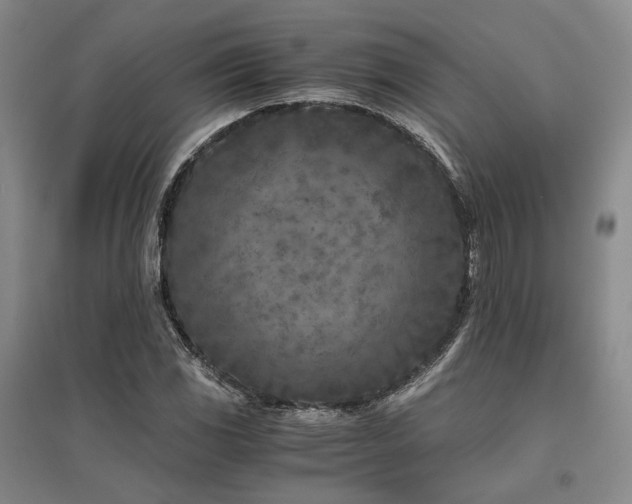 X0000095911117200801111226