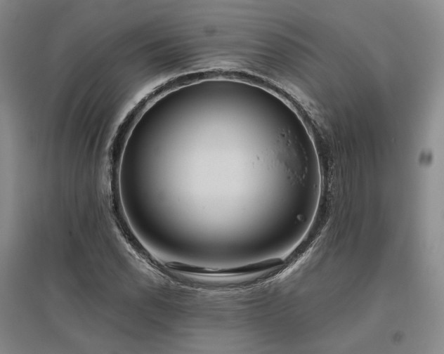 X0000095911118200801111226